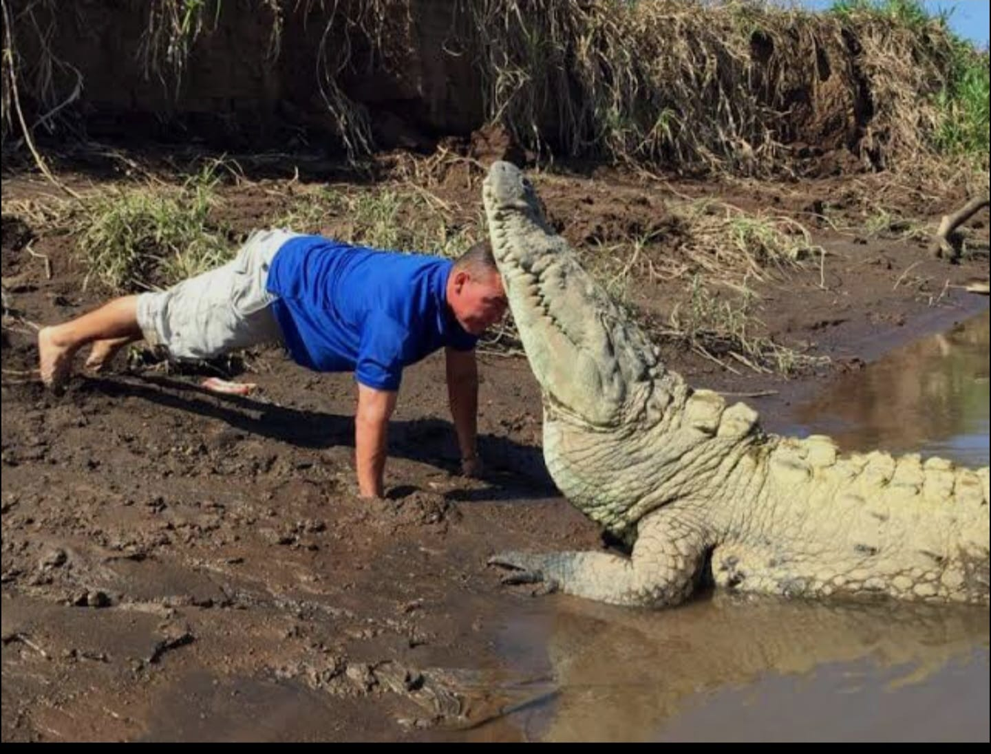 Pacífico 7 en 1 - Cocodrilos Tárcoles
