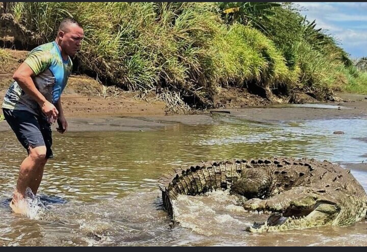 Pacífico 7 en 1 - Cocodrilos Tárcoles